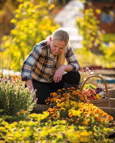 Allotments – Kings Hill