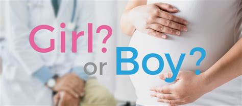 Gender Reveal Tests | American Pregnancy Association