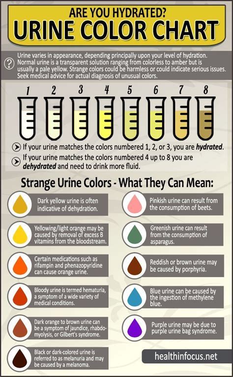nhs pee color chart meanings behind urine color - important this is what your pee is telling you ...