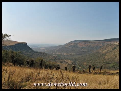 Umgeni Valley Nature Reserve | DeWetsWild