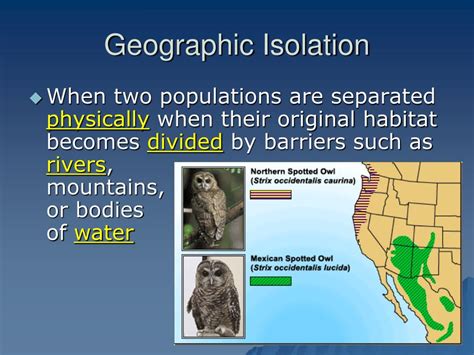 PPT - Process of Speciation PowerPoint Presentation, free download - ID:1421984