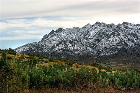 "Winter in the Florida Mountains ~ New Mexico USA" by Vicki Pelham ...