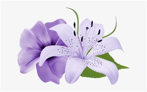 Purple Deco Flowers Png Clipart 179 0 - Lily Flower Purple Png ...