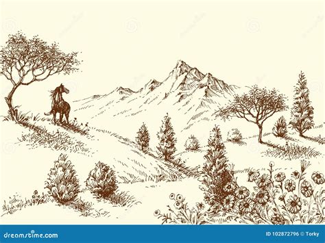 Landscape, Wilderness Sketch Stock Vector - Illustration of graphic ...