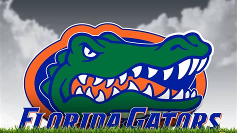 [100+] Florida Gators Wallpapers | Wallpapers.com