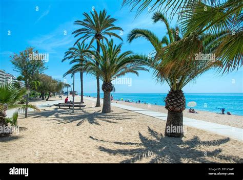 Beach at Pineda de Mar, Barcelona, Spain Stock Photo - Alamy