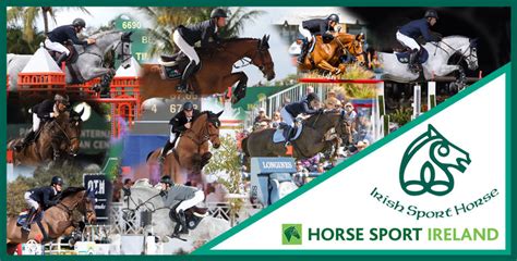 Irish Sport Horse Studbook breeding programme delivers | World of Showjumping