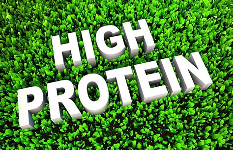 Protein Content Background Images, HD Pictures and Wallpaper For Free ...