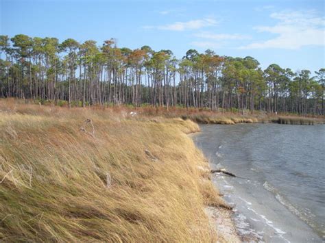 Bon Secour National Wildlife Refuge (Gulf Shores) - 2021 All You Need ...