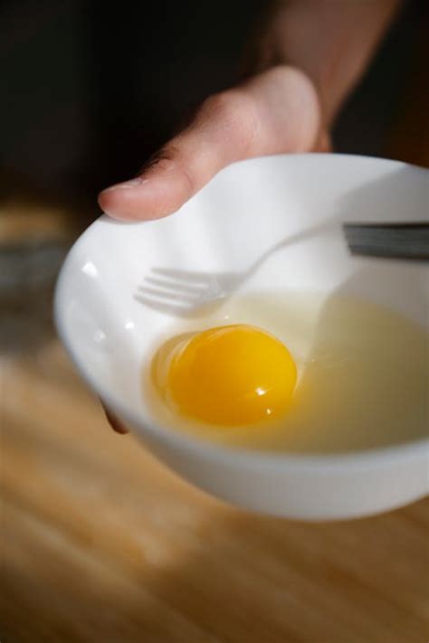 Raw Egg Photos, Download The BEST Free Raw Egg Stock Photos & HD Images