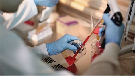 SHORT TERM TRAINING PROGRAMME IN CELL CULTURE & VIROLOGY TECHNIQUES - Institute of Advanced ...