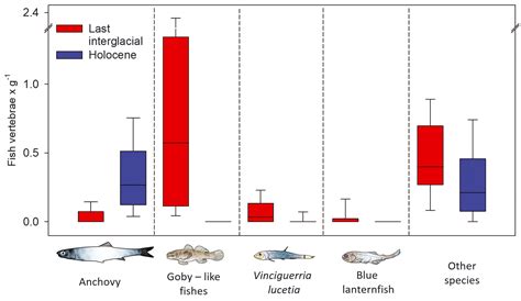 A Worrisome Species Shift in the Humboldt Current – oceanbites