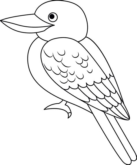 Kookaburra Printable Template | Free Printable Papercraft Templates