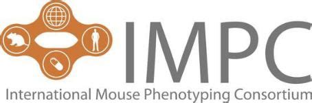 List of Laboratory mouse breeds - FamousFix List