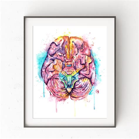 Brain Art, Anatomy Art, Brain Print, Prints Brain, Human Brain, Medical ...