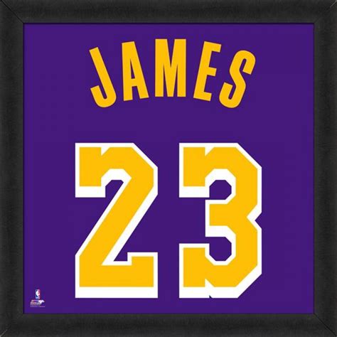 AUCTION - LeBron James Los Angeles Lakers 20x20 Custom Framed Jersey ...