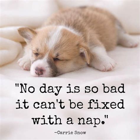 No day is so bad it can't be fixed with a nap. Sleep quotes on… | Nap ...