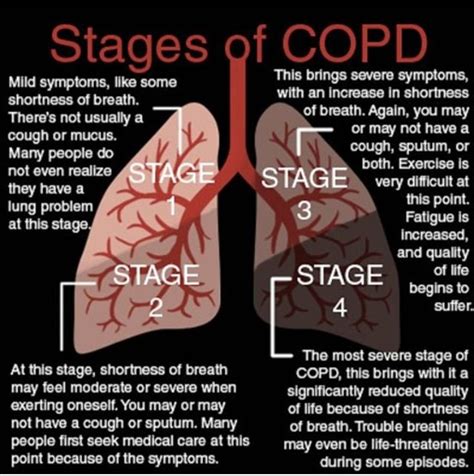 Pin on Lung Diseases