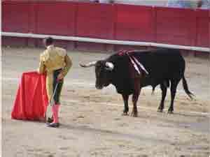 Bull Fighting: History Of Bull Fighting