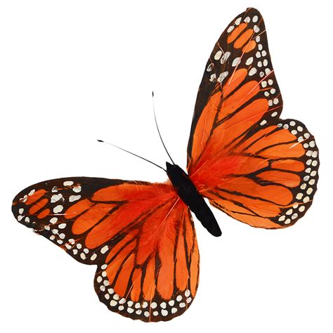 Orange Feather Butterfly 30cm - Butterflies