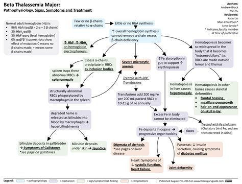 Beta Thalassemia Major: Signs, Symptoms and Treatment | Calgary Guide