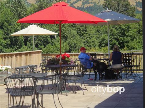 5 BEST Hood River Wineries