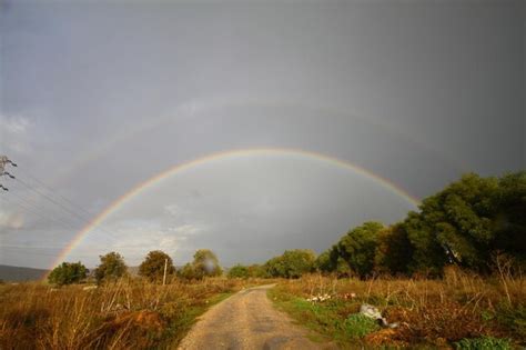 Premium Photo | Over the rainbow after the rain