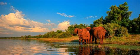 Wildlife Safari In South Africa and Swaziland - Explore