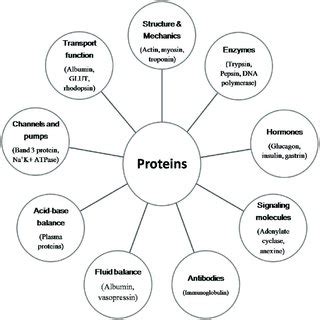 (PDF) FISH IN HUMAN HEALTH AND NUTRITION