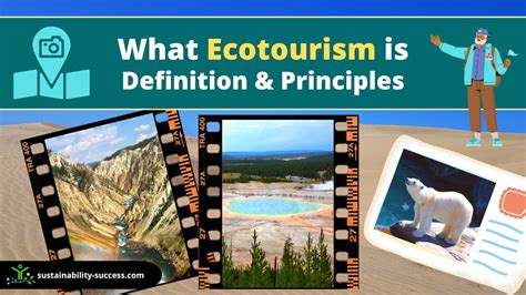 Successful Ecotourism Examples: A Global Showcase of Conservation and ...