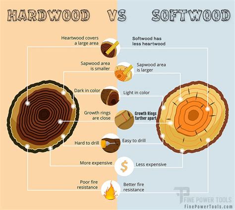 Difference Between Hardwood And Softwood | My XXX Hot Girl