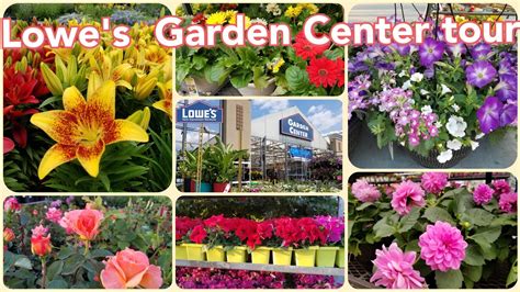 Lowe's Garden Center Tour | Indoor & Outdoor plants - YouTube