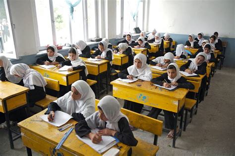 Study suggests a shift in Afghan attitudes toward increased education and delayed marriage | Hub