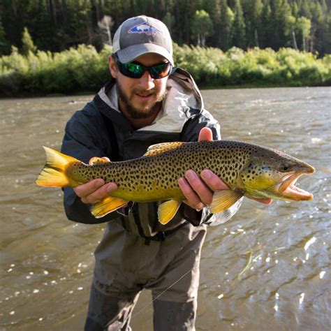 Wyoming Backcountry fly fishing trips | World Angling