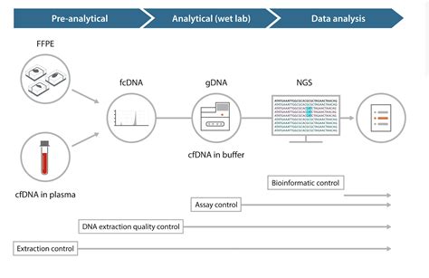 Choosing Reference Standards for Molecular Assay Development | Clinical Lab Products