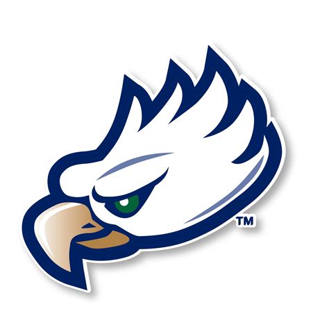 Florida Gulf Coast Eagles 4 Inch Vinyl Mascot Decal Sticker - Walmart.com - Walmart.com