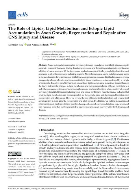 The Role of Lipids, Lipid Metabolism and Ectopic Lipid Accumulation in Axon Growth, Regeneration ...