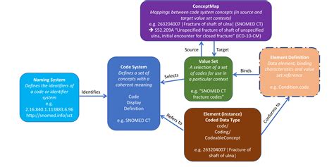 Terminology-module - FHIR v6.0.0-ballot2