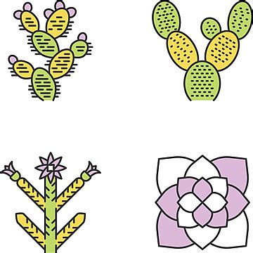 Desert Plants Color Icons Set Desert Isolated Yucca Vector, Desert, Isolated, Yucca PNG and ...