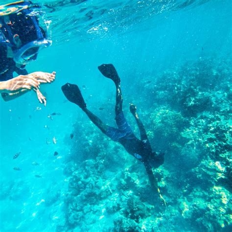 Snorkeling Zanzibar - One Ocean Diving Zanzibar - PADI 5 Star