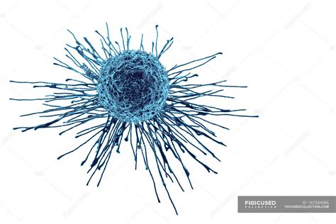 Cancer cell structure and shape — illness, white - Stock Photo | #167534586