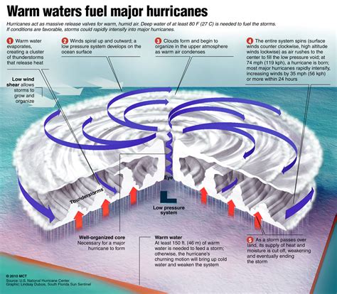 Diagram Of A Hurricane Forming