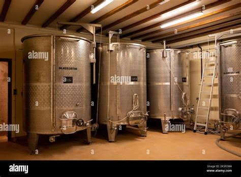 Stages of wine production from fermentation to bottling, visit to wine ...