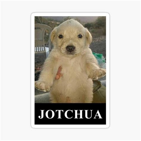 "Jotchua Meme Jotchua Funny Puppy" Sticker for Sale by MelyGance ...