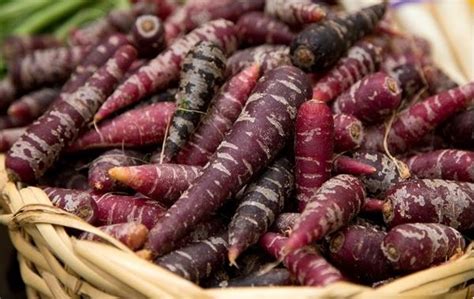 6 astounding health benefits of Purple carrots | Fakaza News