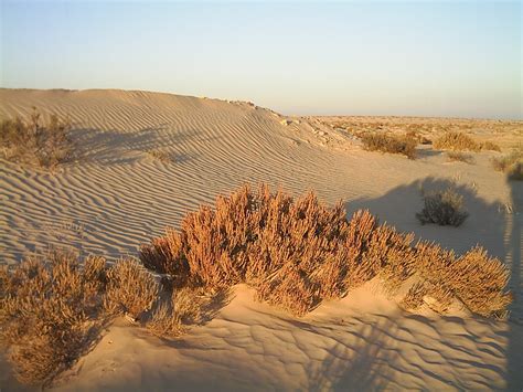 Tunisian desert Free Photo Download | FreeImages