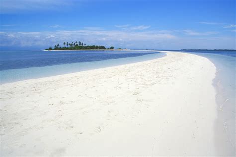 Pamilacan Island Tour in Bohol | With Balicasag and Virgi...