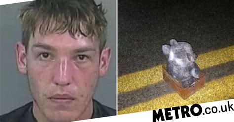 Creep stuffed nail bomb in teddy then left it on road to try and kill child | Metro News