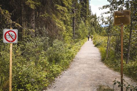 Wapta Falls Hike in Yoho National Park