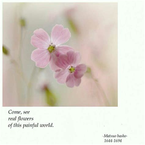 Haiku About Flowers 5-7-5 : From Flower Haiku by Ellie Marks | Flowers ...